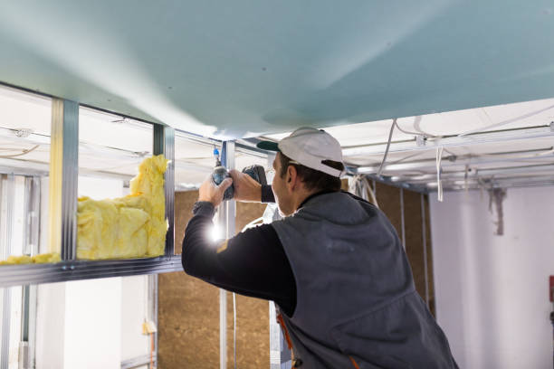 Best Residential Insulation in Vista Santa Rosa, CA